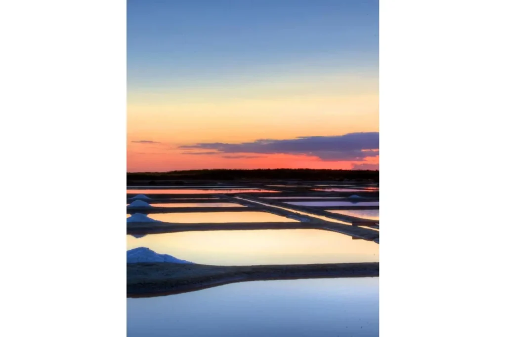 Guerande Professional